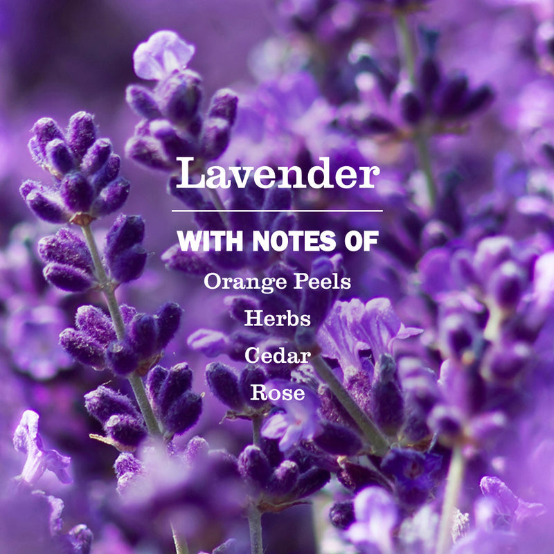 Mrs. Meyer's Lavender Soy Candle Large