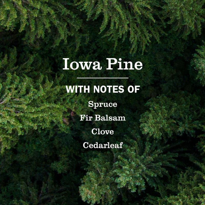 Mrs. Meyer's Iowa Pine Soy Candle Large