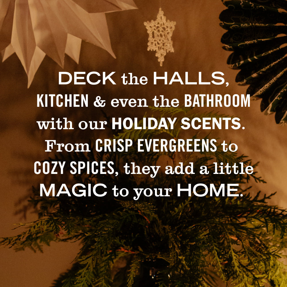 Mrs. Meyer's Holiday Seasonal Hand Soap Collection