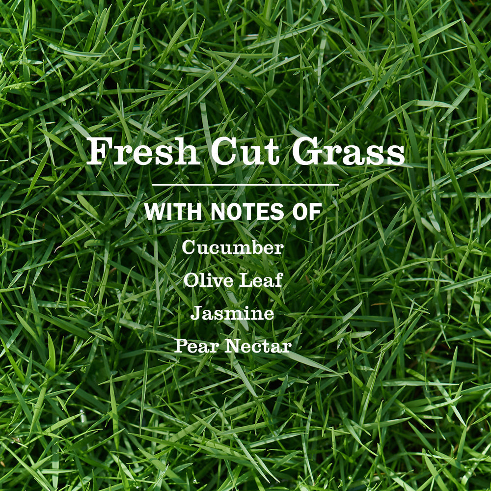 Fresh Cut Grass Liquid Dish Soap | Mrs. Meyer's